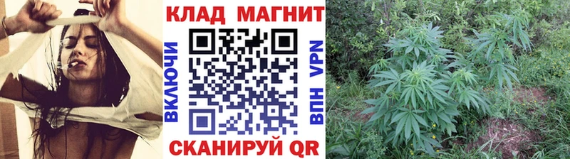 Как найти наркотики Озёры Канабис  Метамфетамин  Галлюциногенные грибы  МЕФ  ГАШИШ  АМФ 